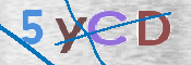 CAPTCHA (Şahıs Denetim Kodu) Resmi