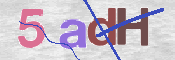 CAPTCHA (Şahıs Denetim Kodu) Resmi