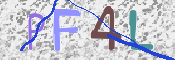 CAPTCHA (Şahıs Denetim Kodu) Resmi